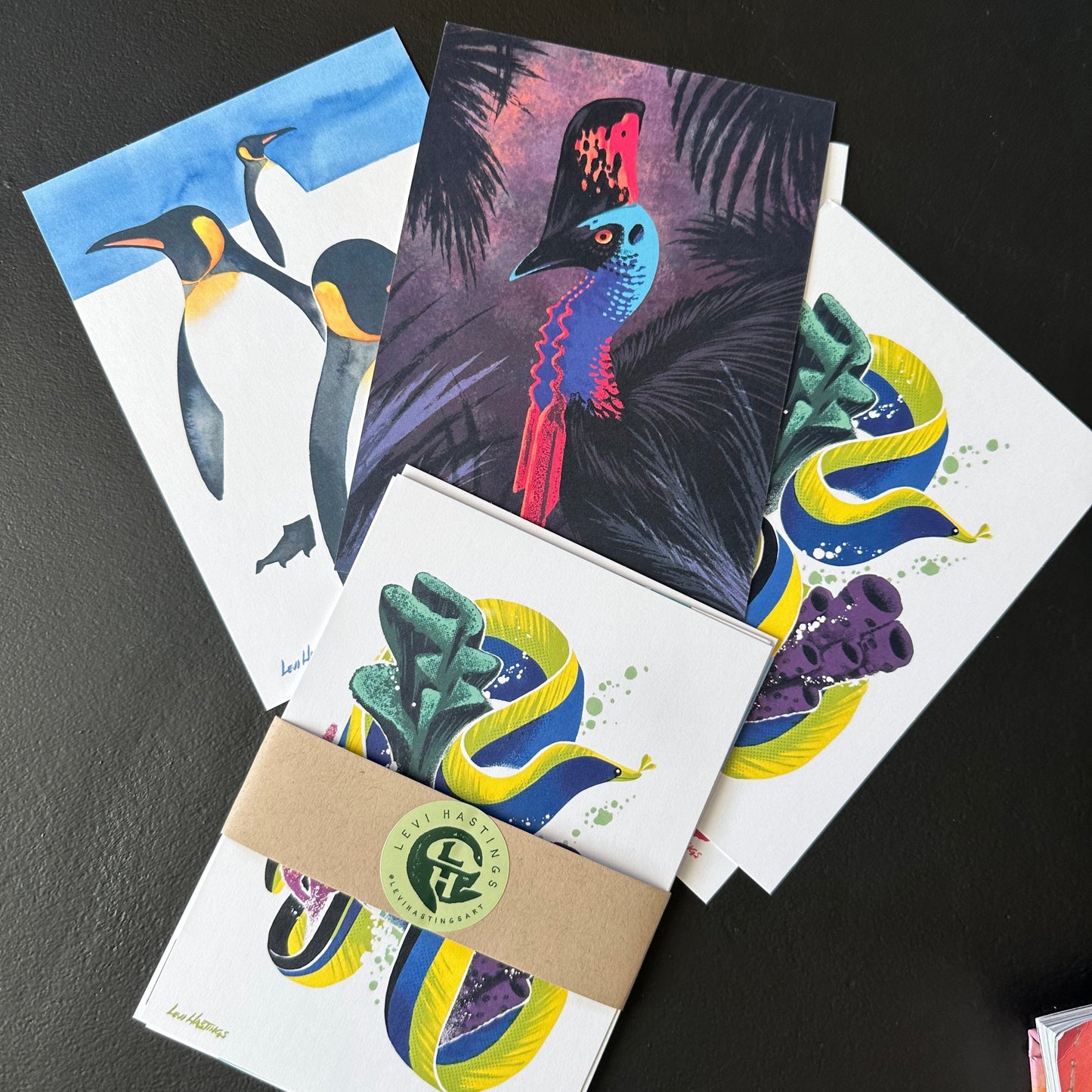 Wildlife Postcard Pack