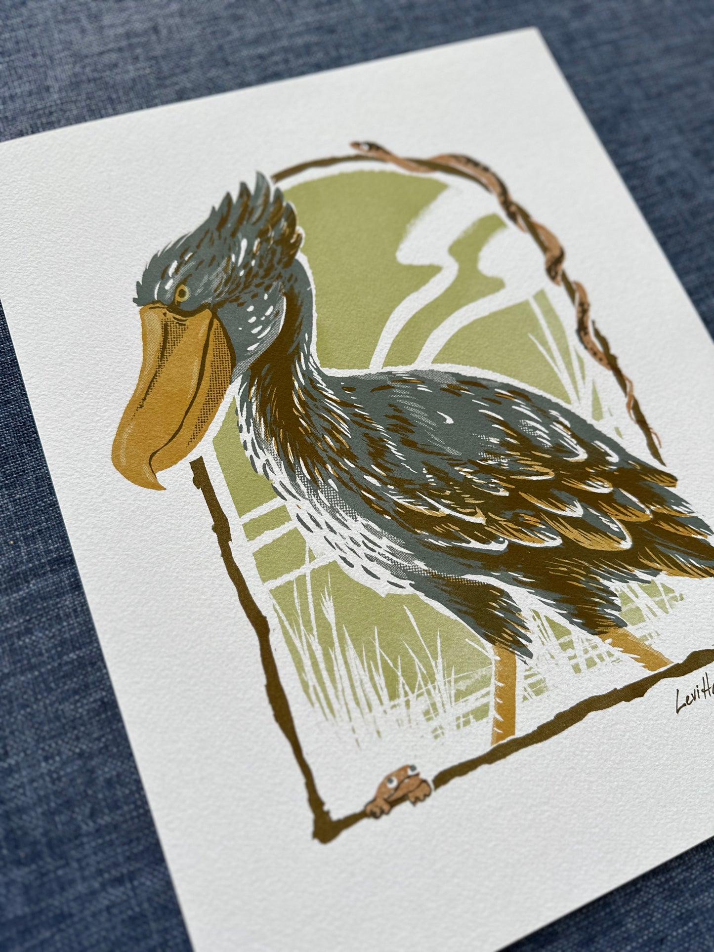 Shoebill Stork - Fine Art Print