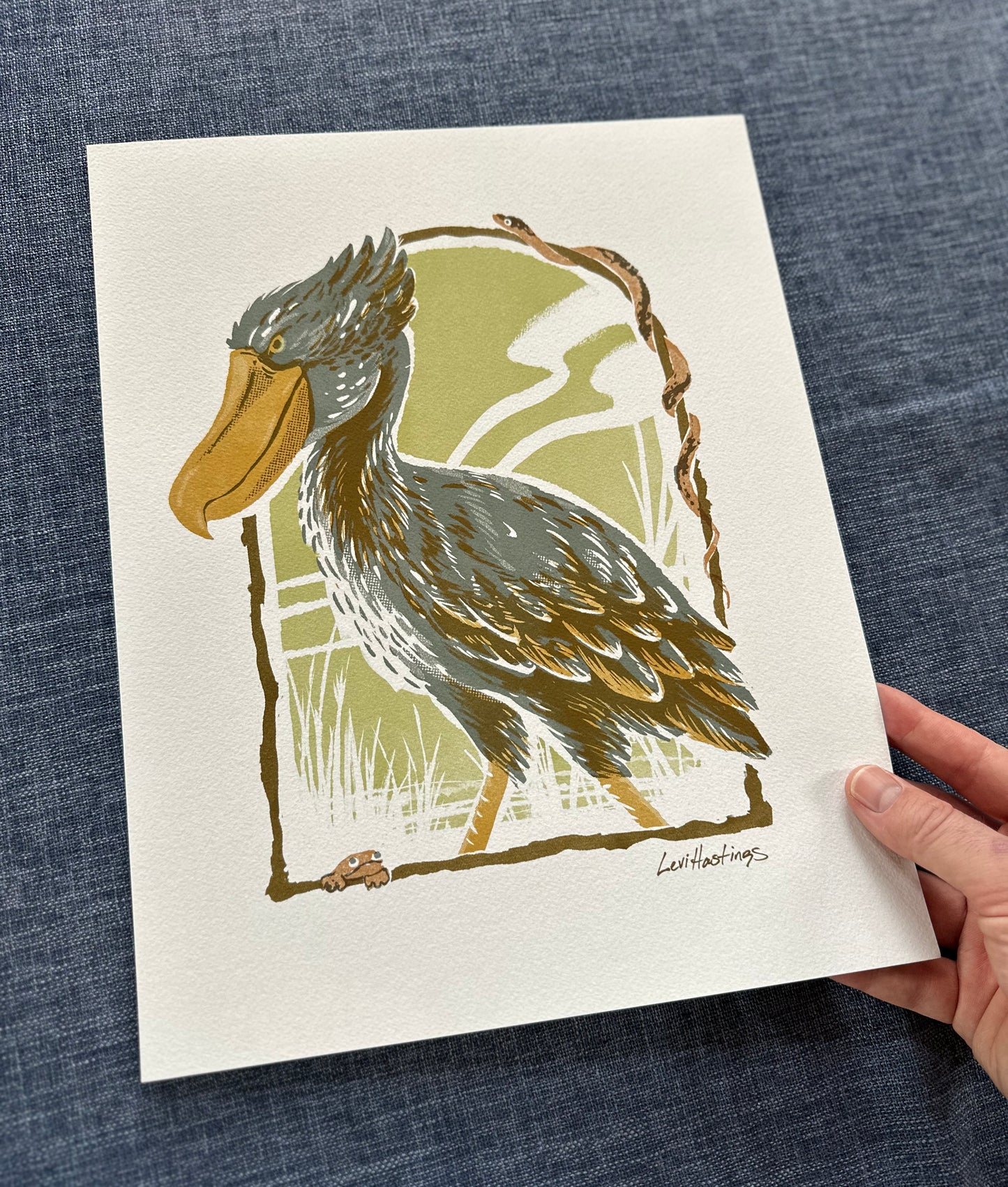 Shoebill Stork - Fine Art Print