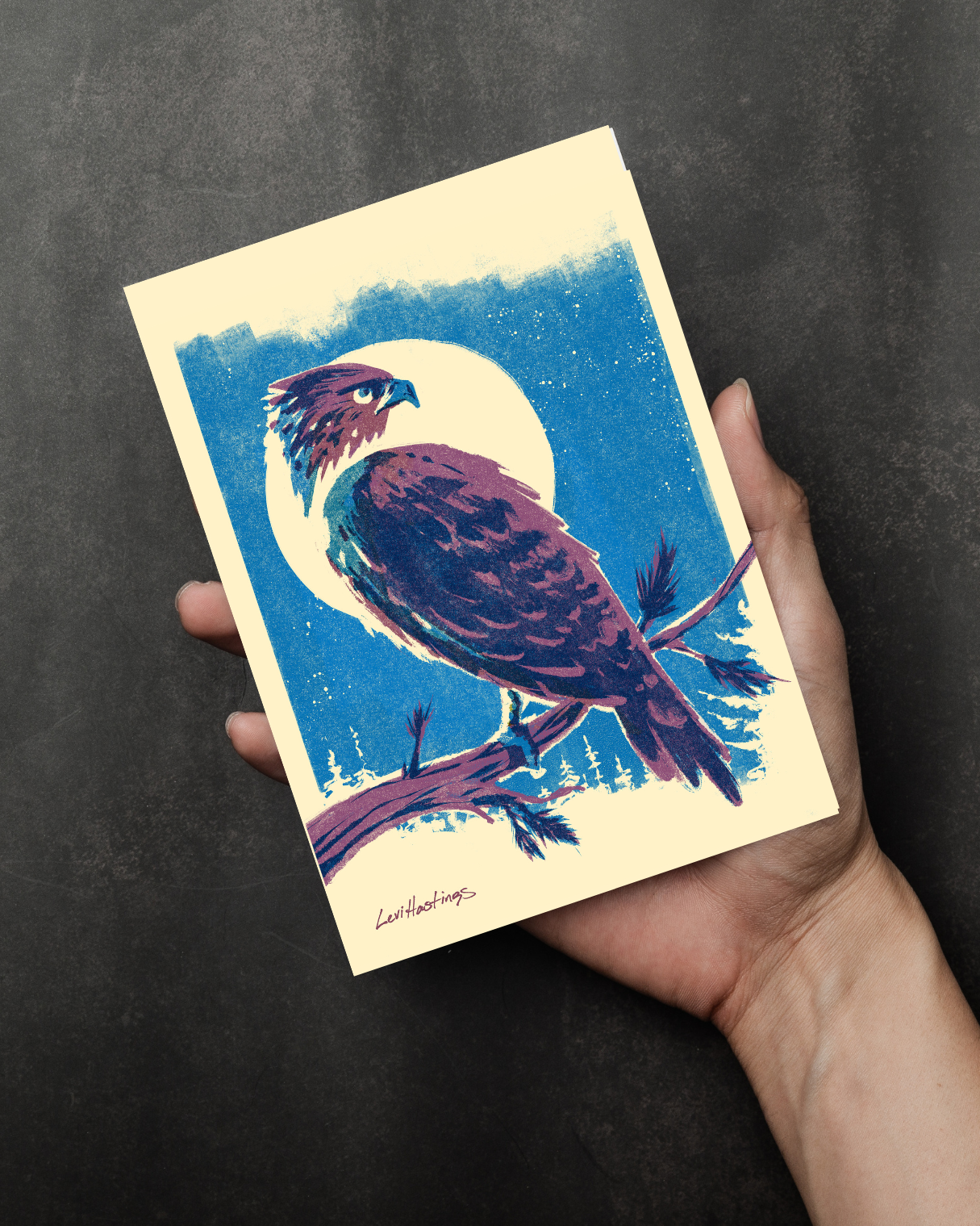 Night Hawk - Mini Print