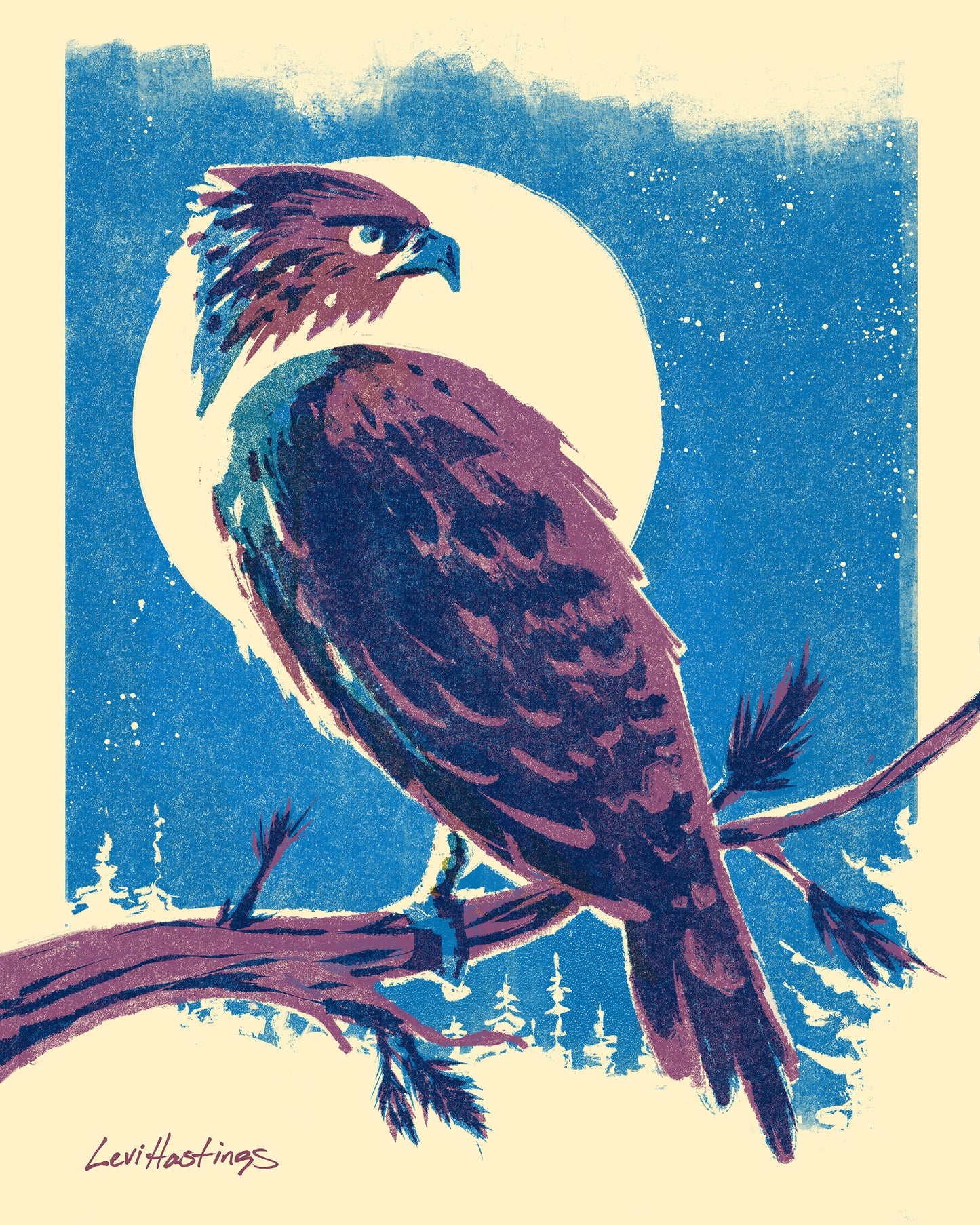 Night Hawk - Mini Print