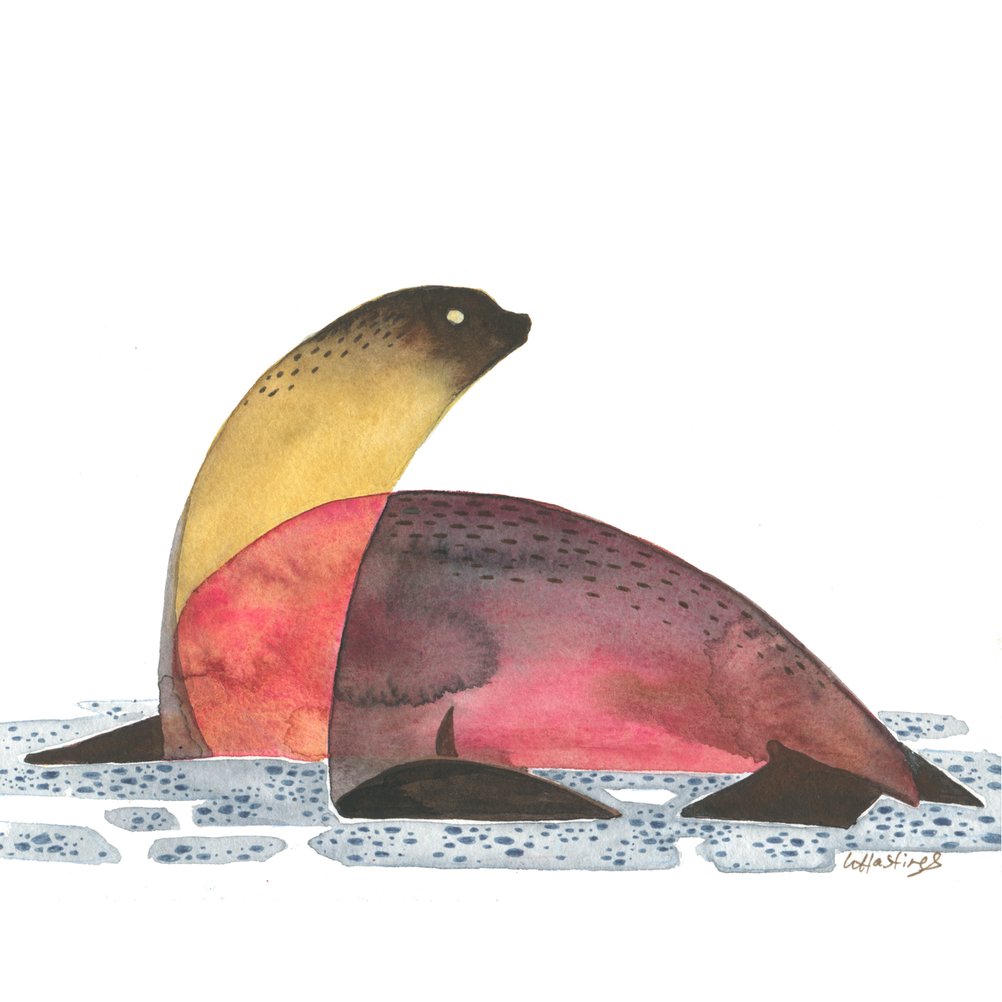Summer Sea Lion - Original Painting