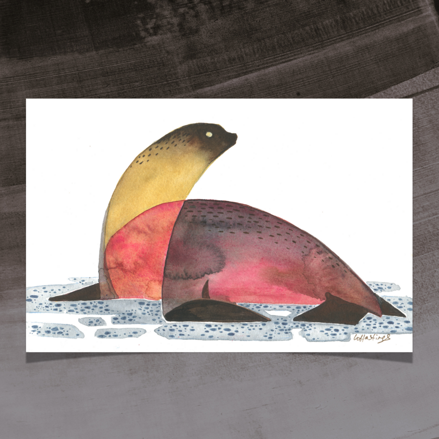 Summer Sea Lion - Original Painting