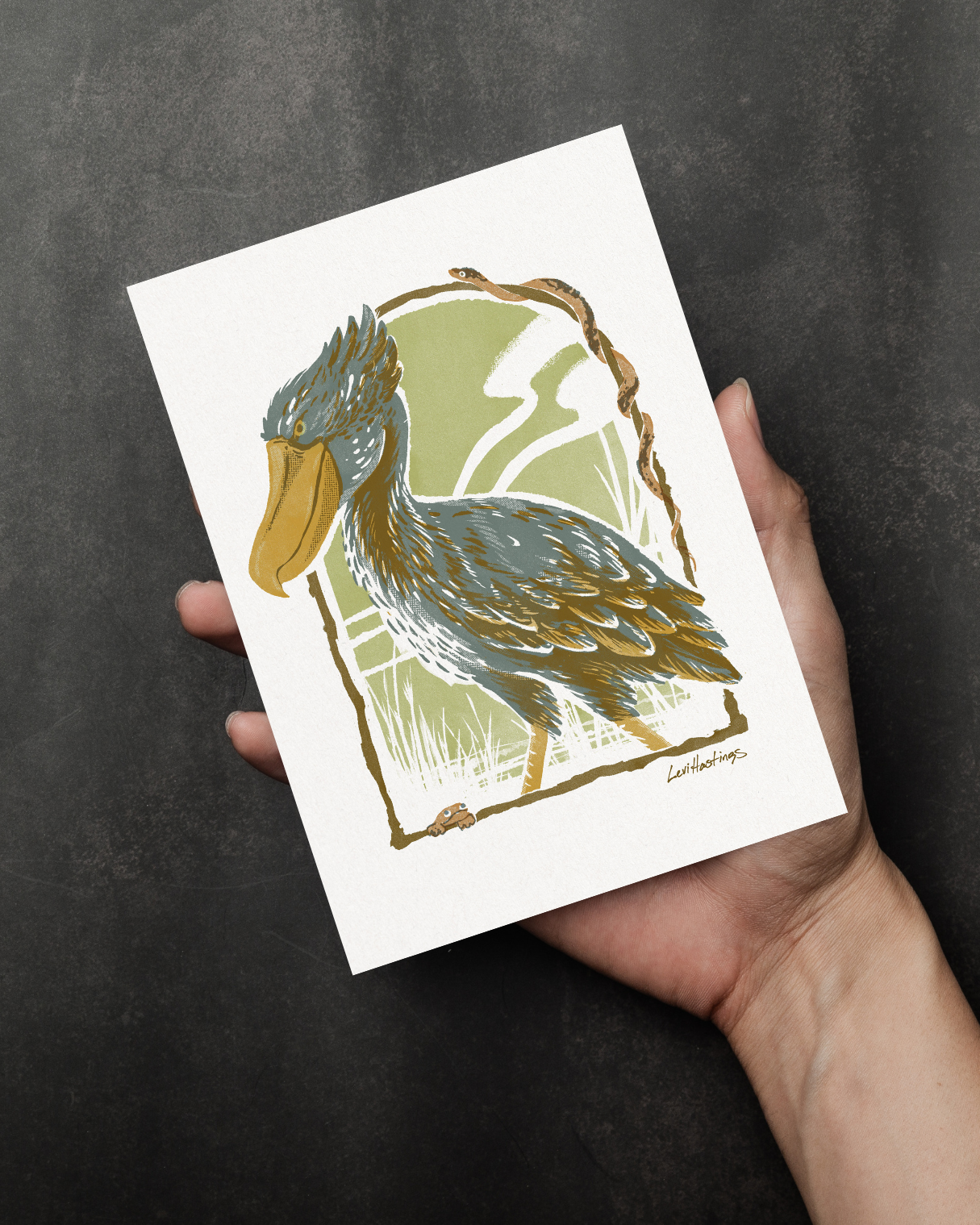 Shoebill Stork - Fine Art Print