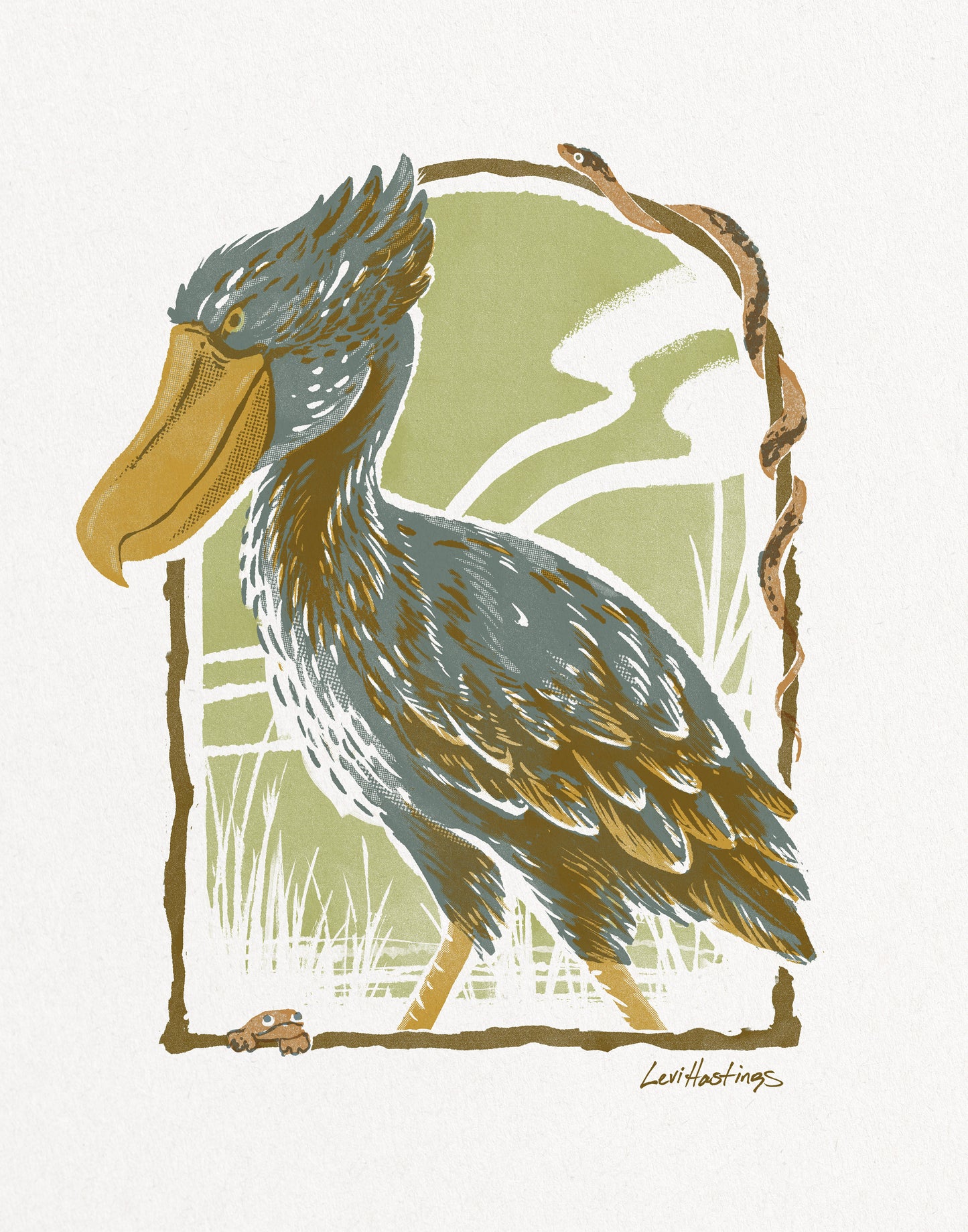 Shoebill Stork - Fine Art Print