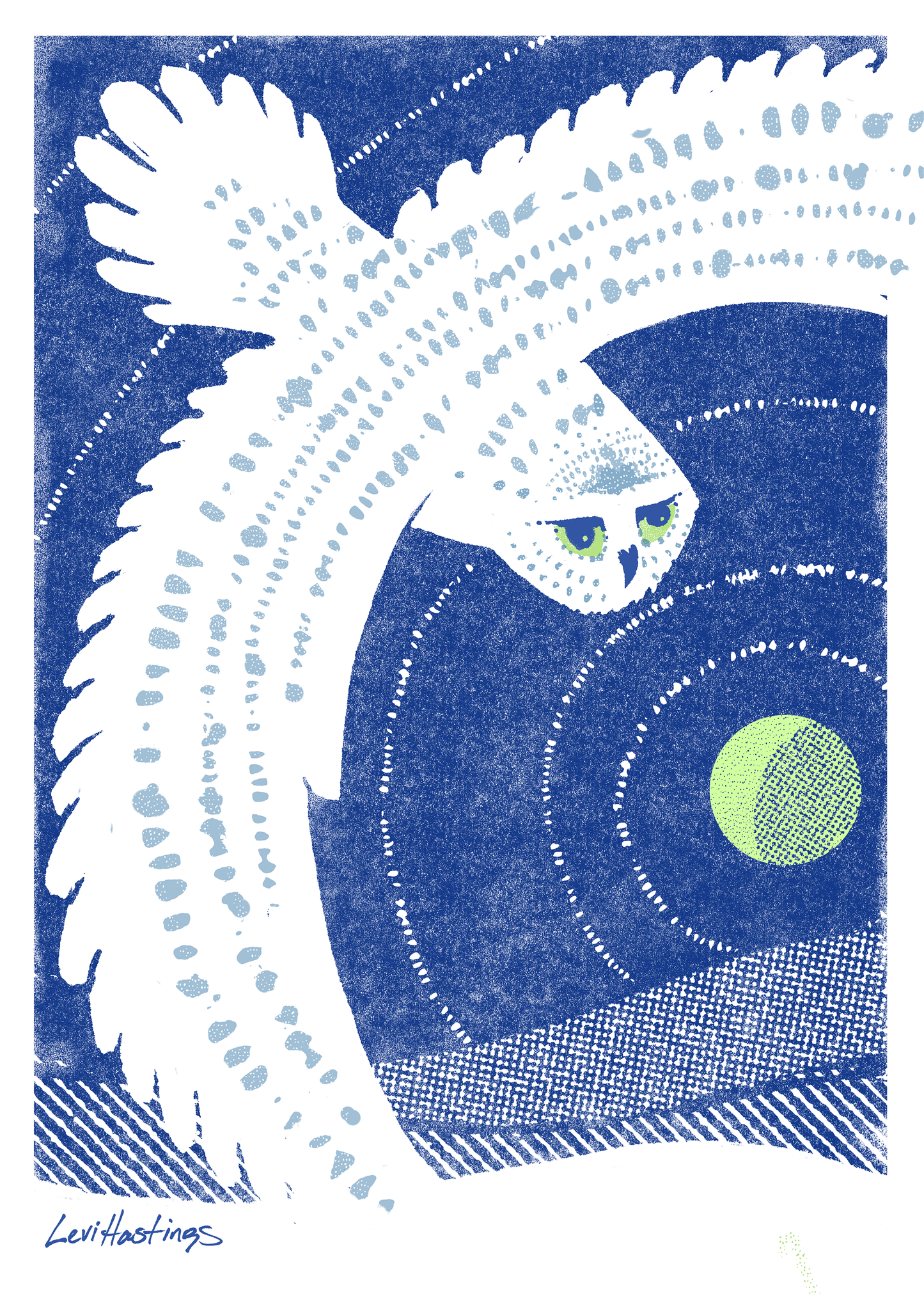 Snow Owl - Fine Art Print