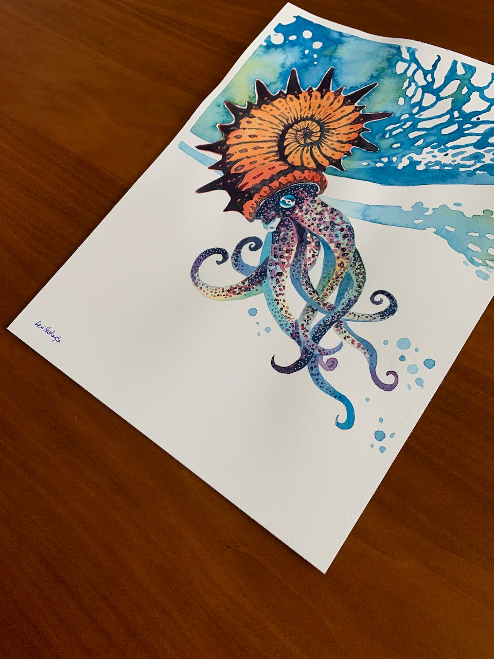 Ammonite - Fine Art Print