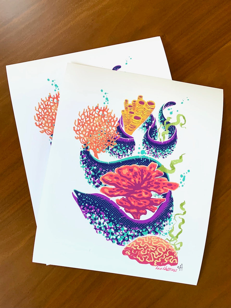 Moray Eel - Fine Art Print
