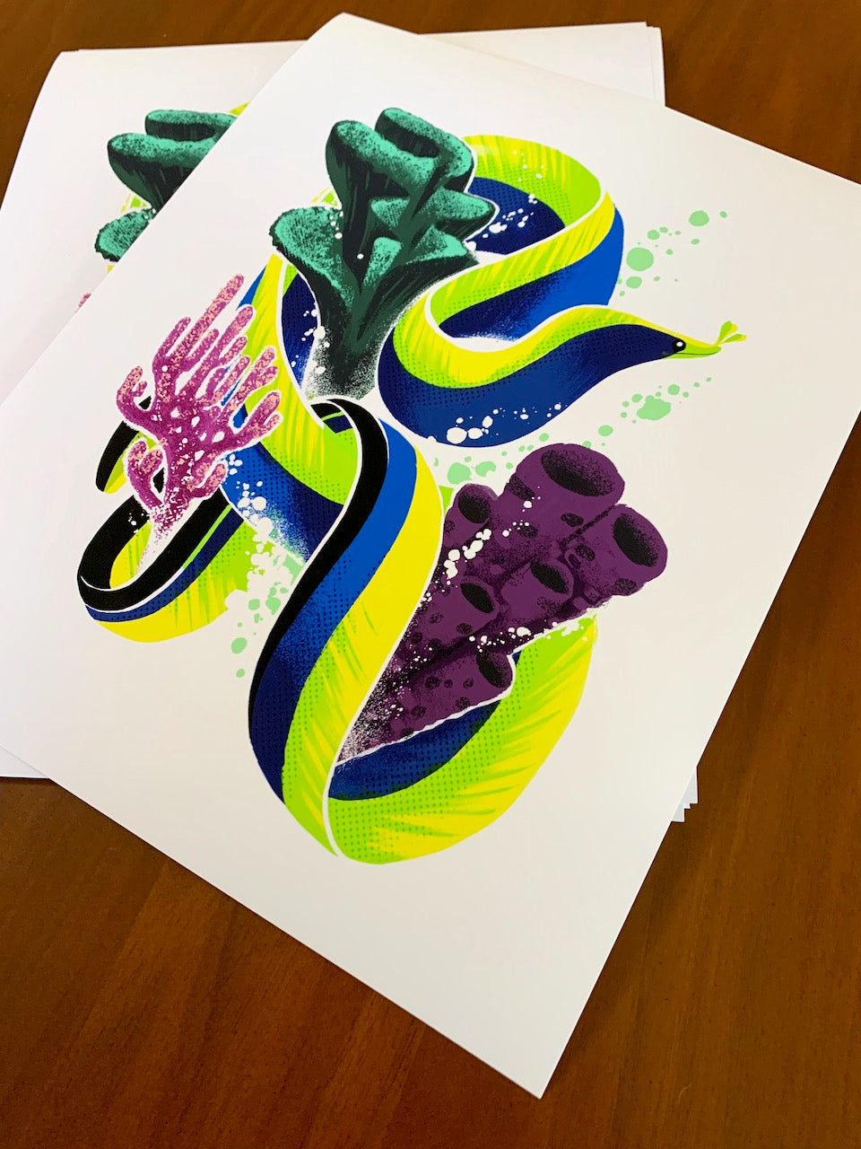 Ribbon Eel - Fine Art Print