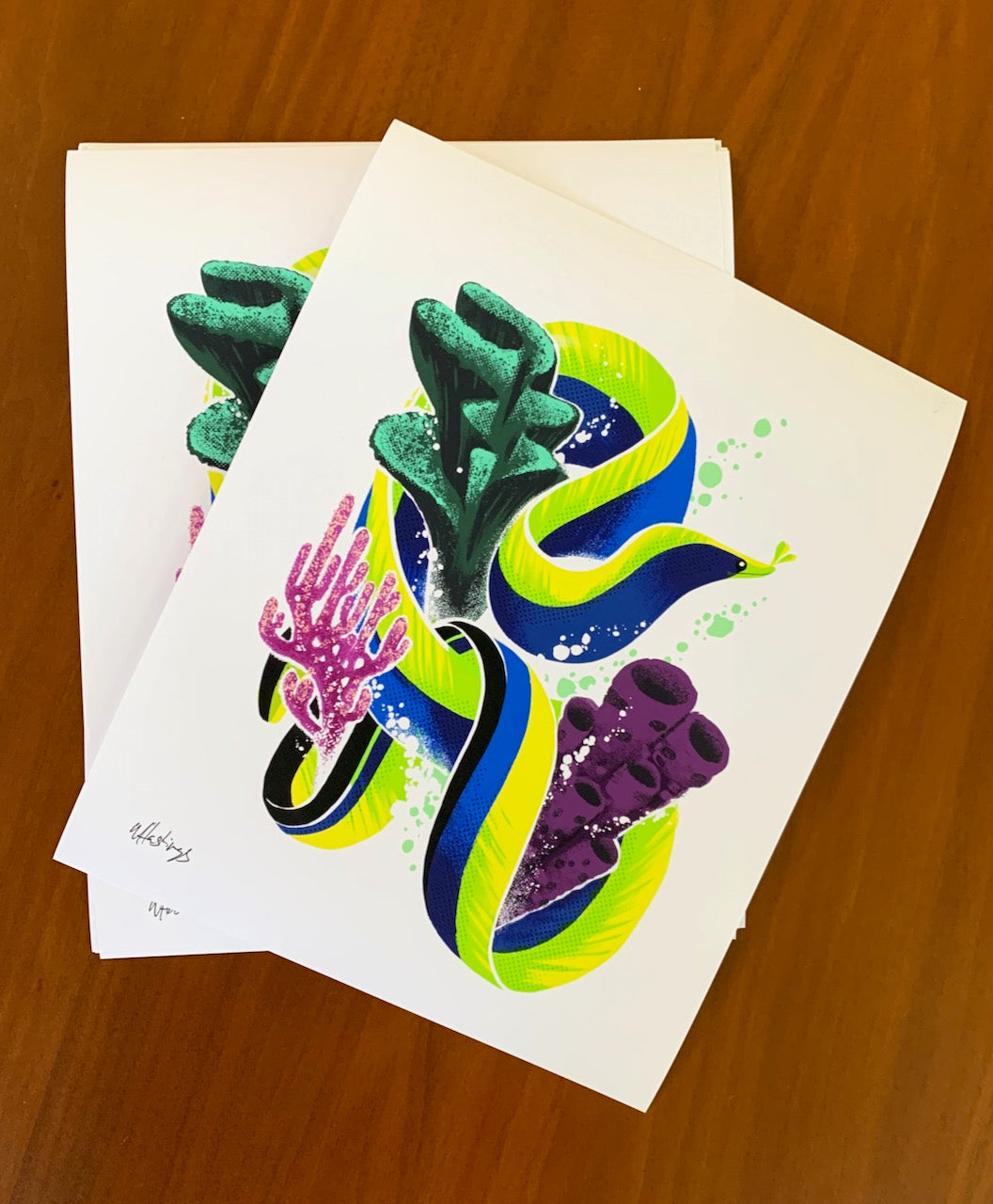 Ribbon Eel - Fine Art Print