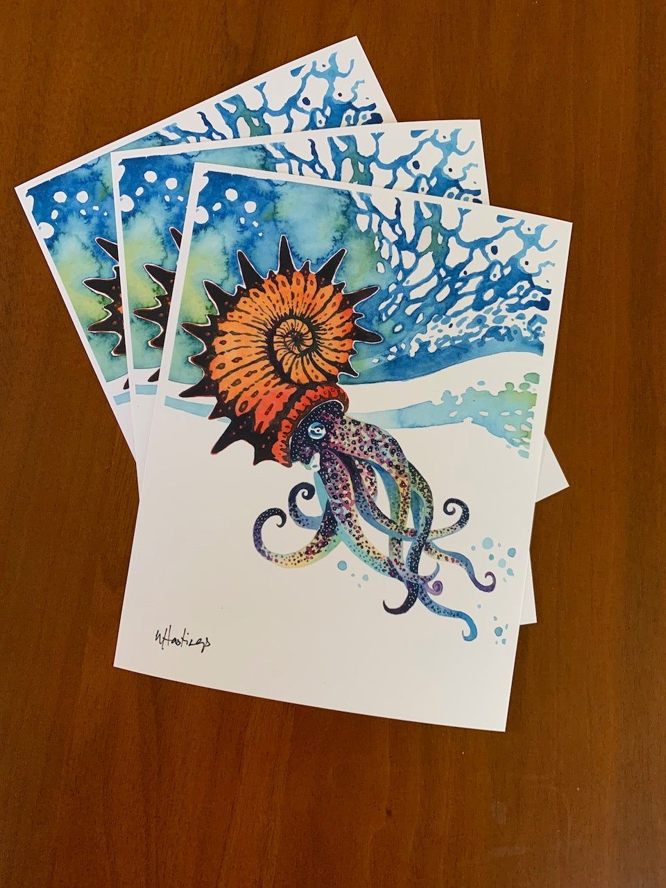 Ammonite - Fine Art Print