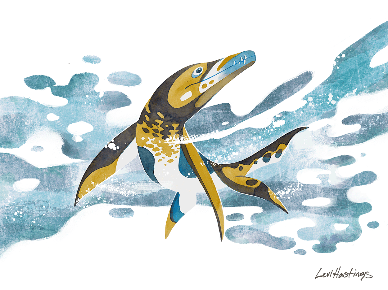 Pliosaurus - Fine Art Print