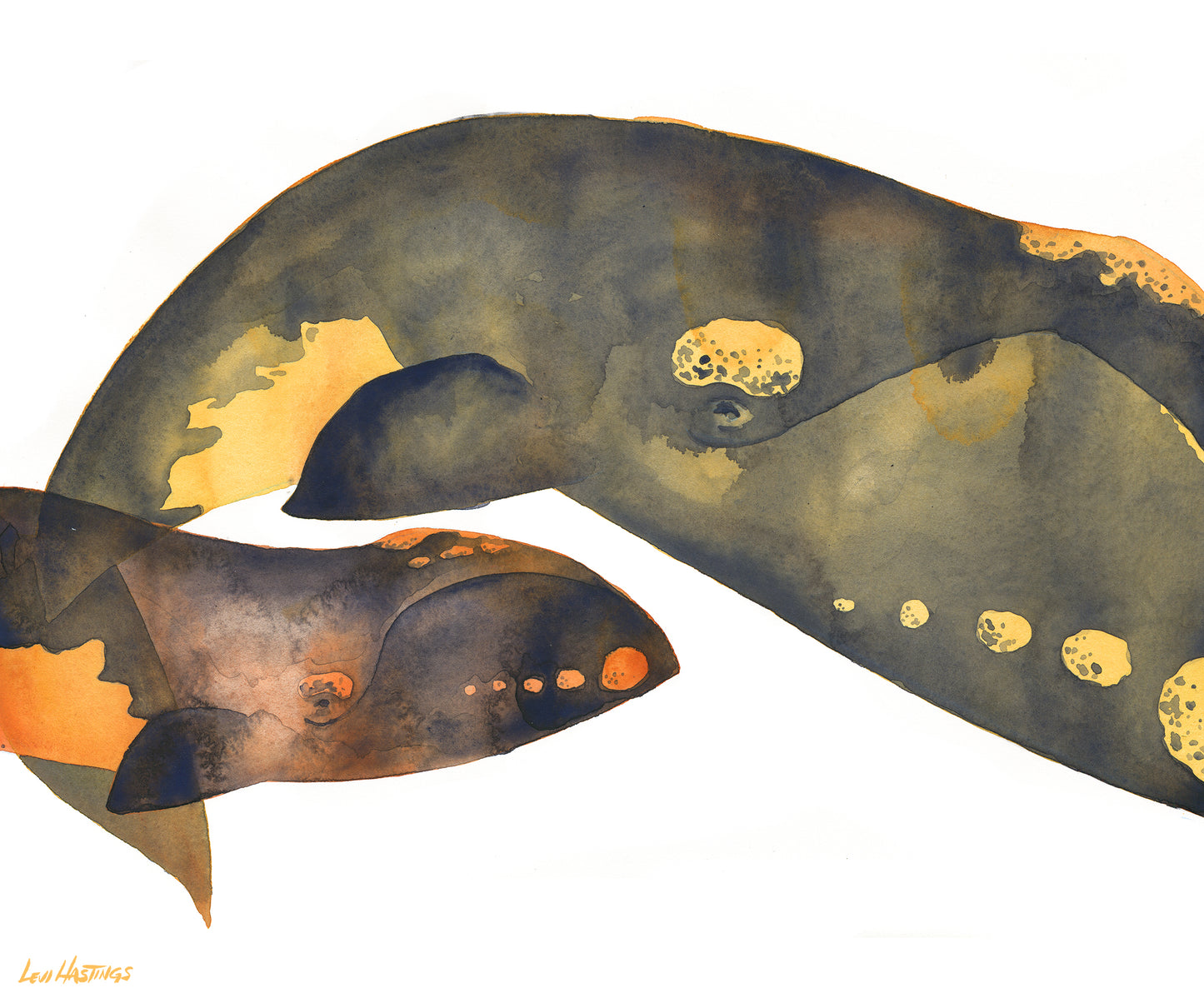 Right Whale & Calf - Original Painting