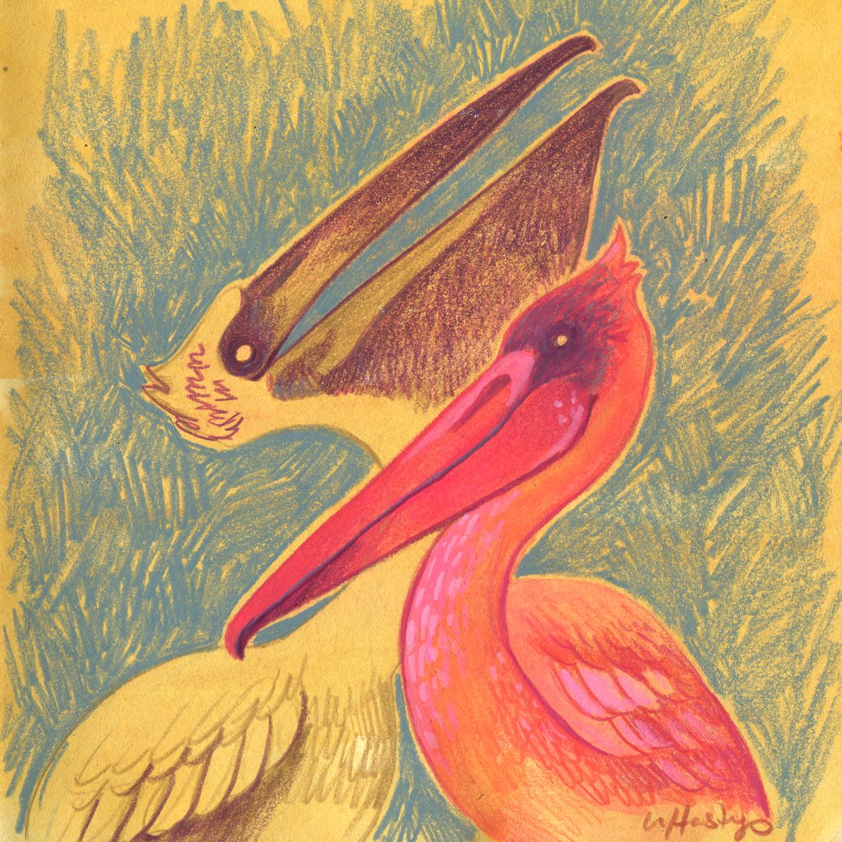 Pair of Pelicans - Original Painting