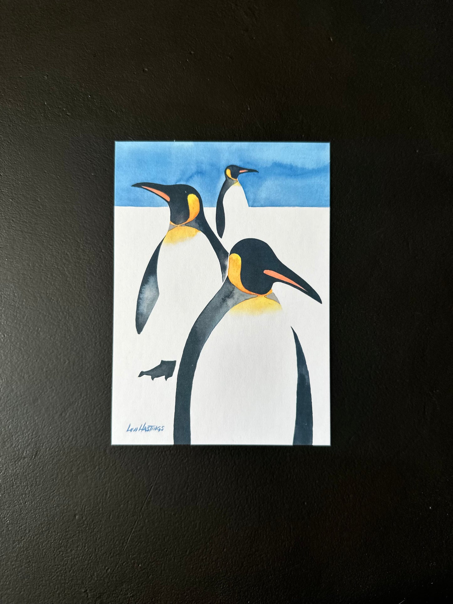 Wildlife Postcard Pack