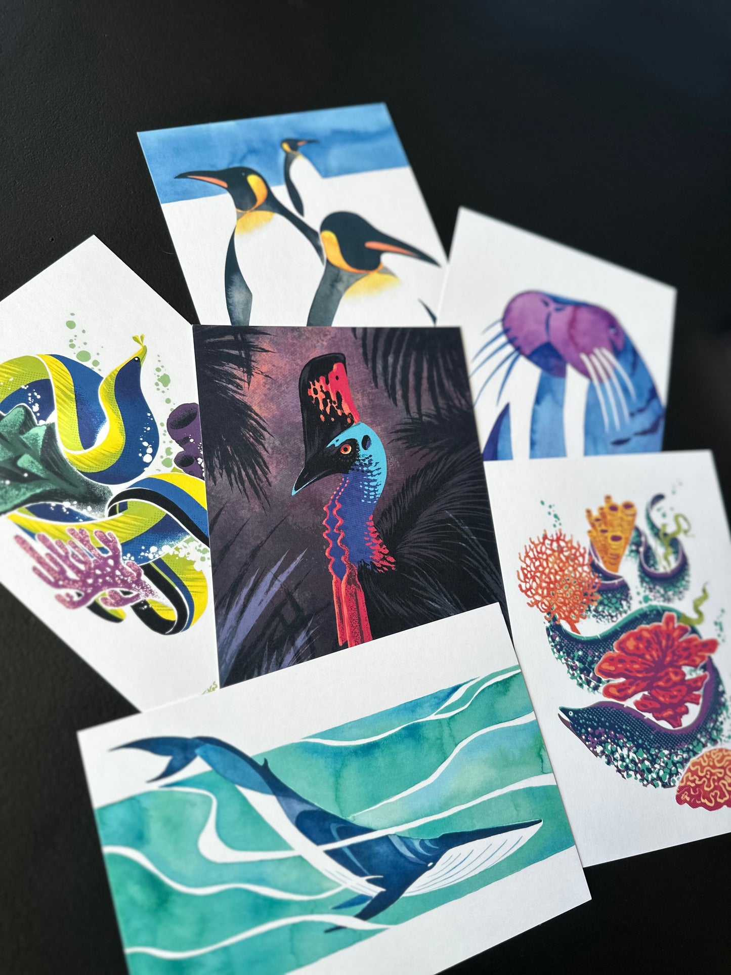 Wildlife Postcard Pack