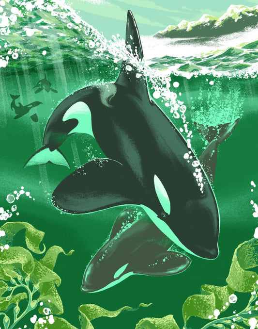 Emerald Orcas - Fine Art Print