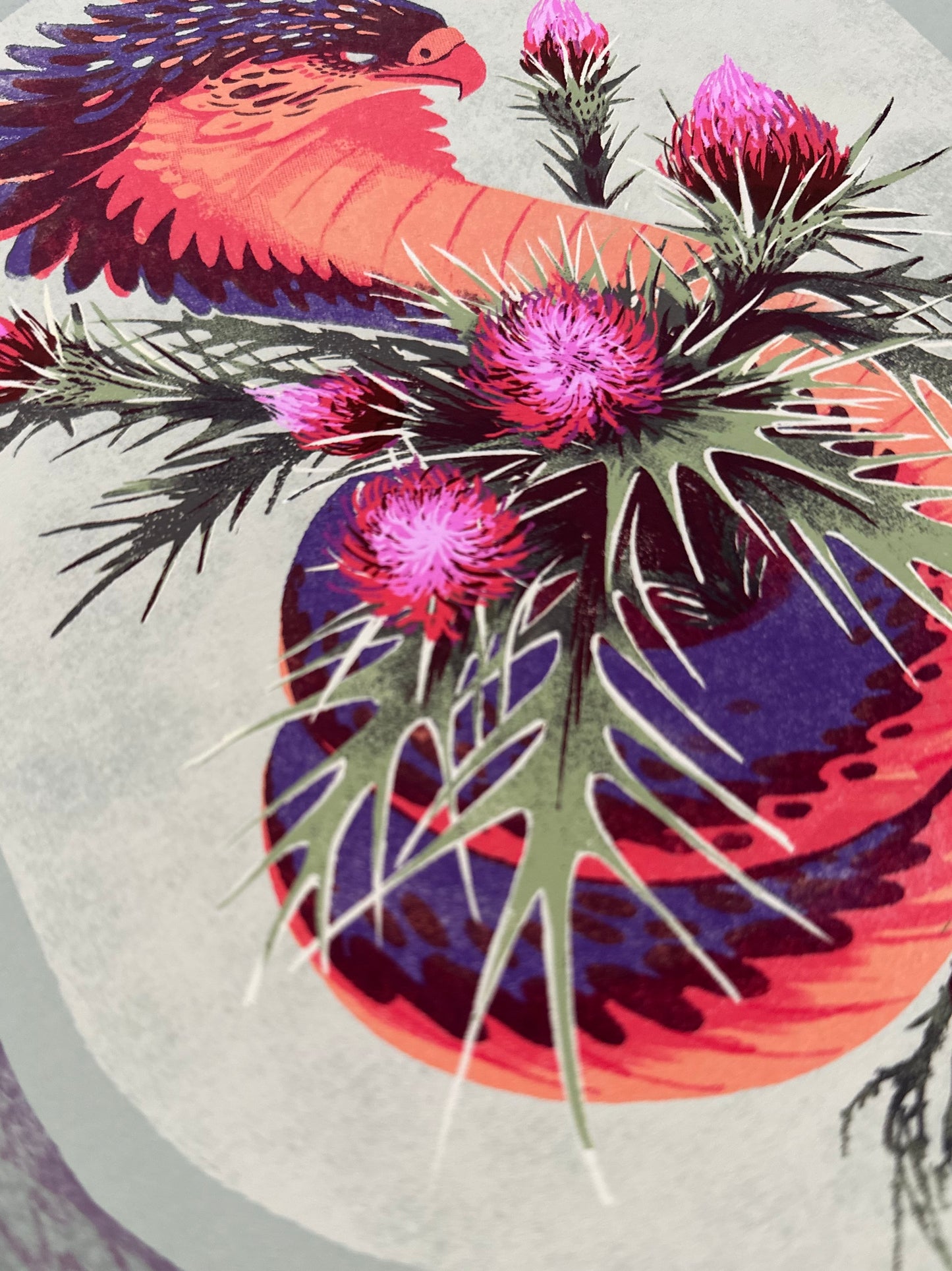 Cobra Thistle - Limited Edition Fine Art Print