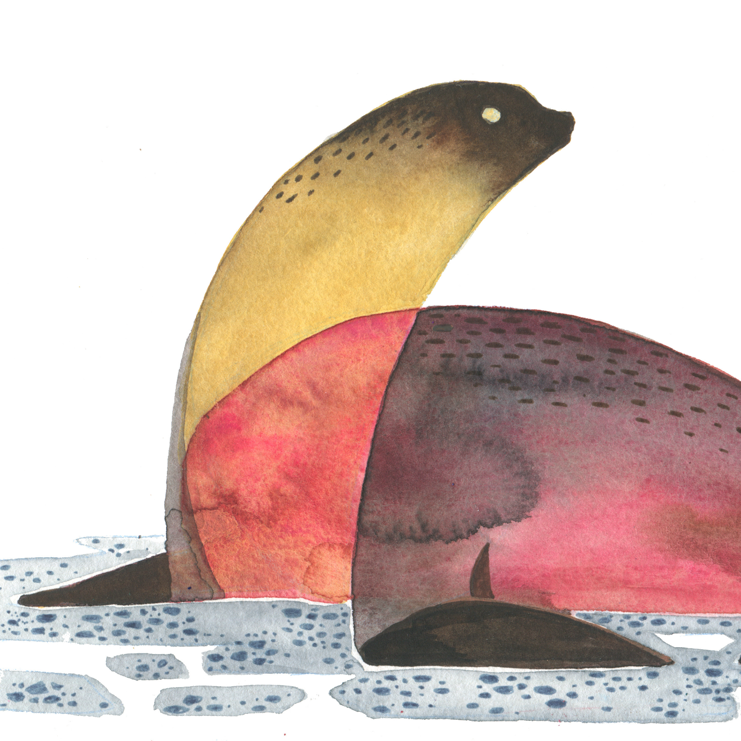 Watercolor Illustration of a sea lion in two tones on a white background