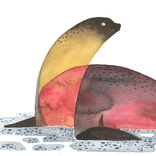 Watercolor Illustration of a sea lion in two tones on a white background