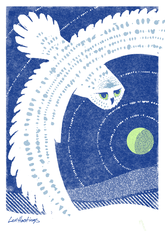 Snow Owl - Fine Art Print