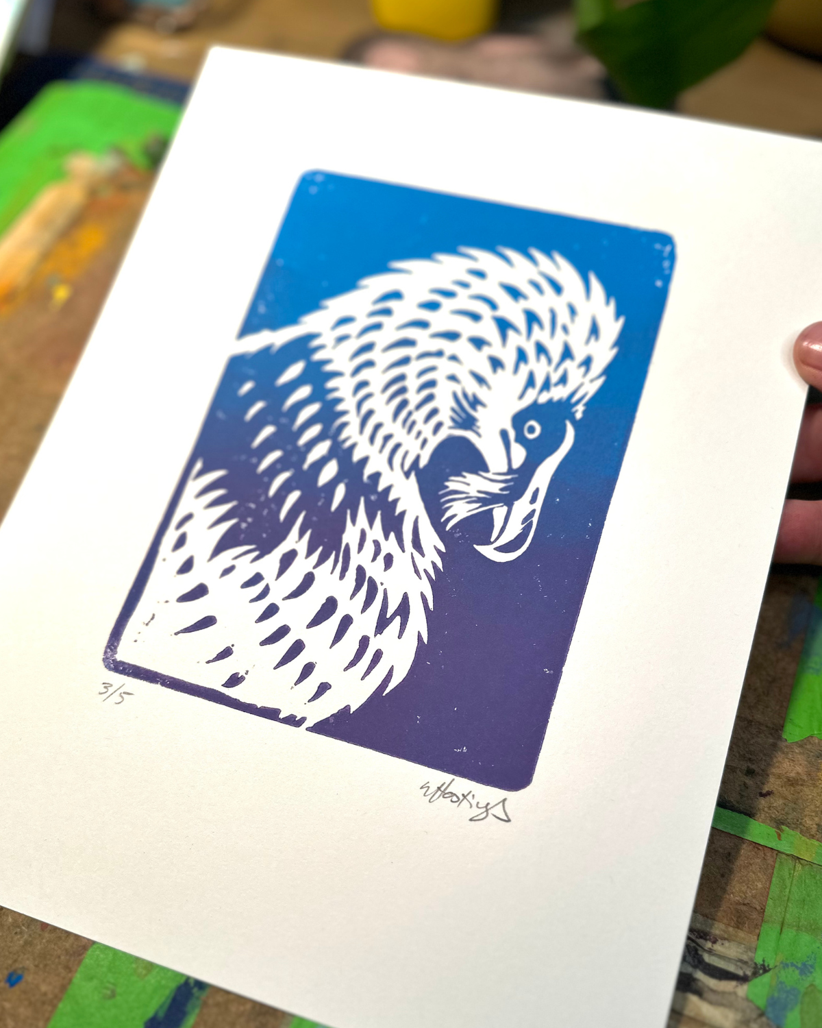 Blue and white linocut print of a bearded vulture on a blue background