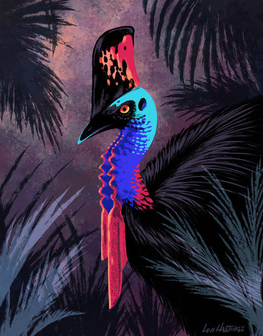Cassowary - Mini Print