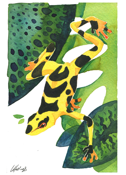 Golden Frog - Original Watercolor Painting