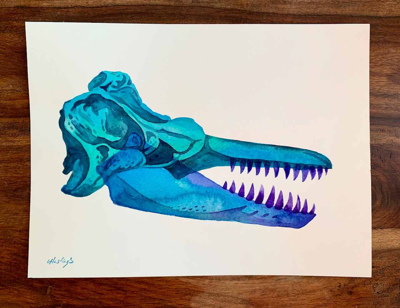 Orca Skull - Fine Art Print