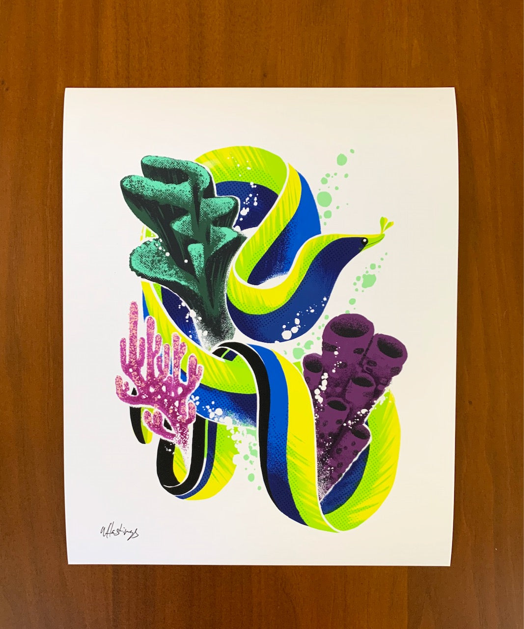 Ribbon Eel - Fine Art Print