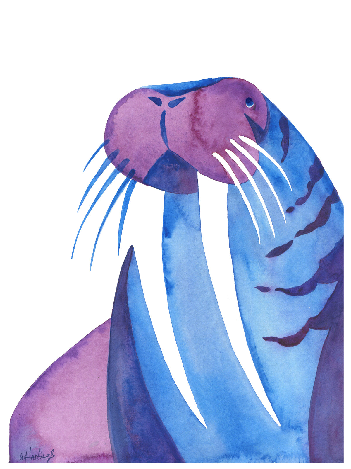 Walrus - Original Watercolor Painting