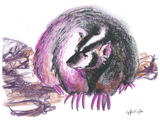 Grumpy Badger - Original Drawing