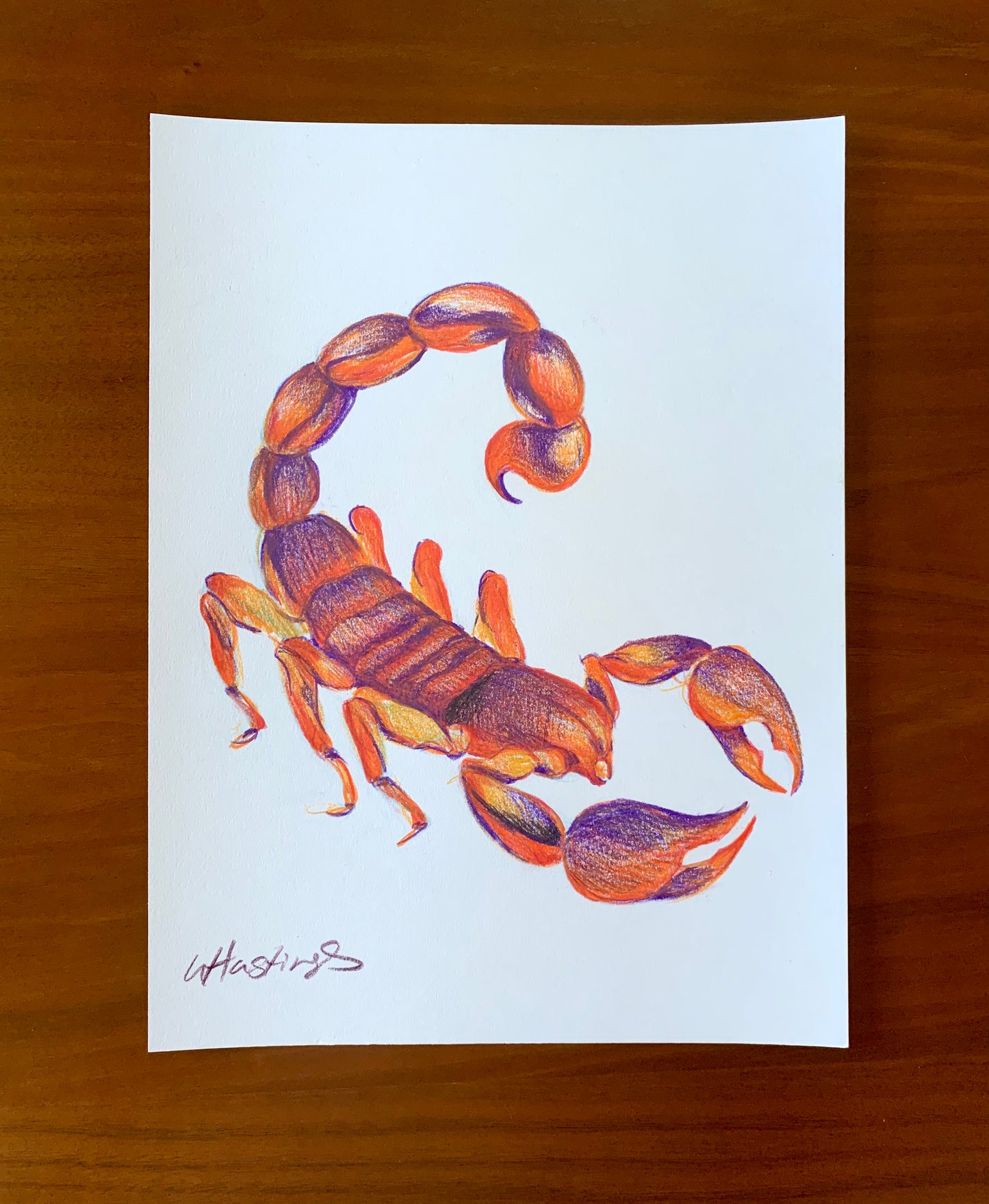 Scorpio - Original Drawing