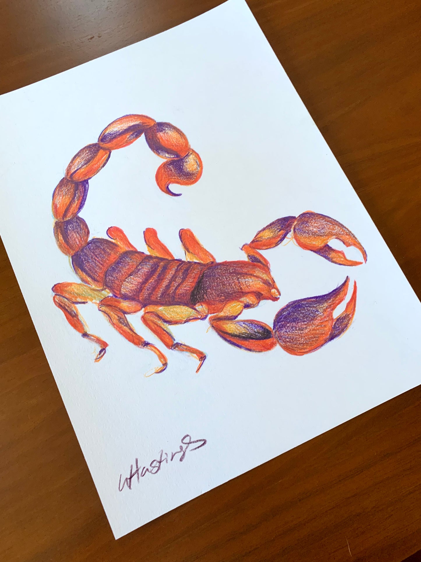 Scorpio - Original Drawing