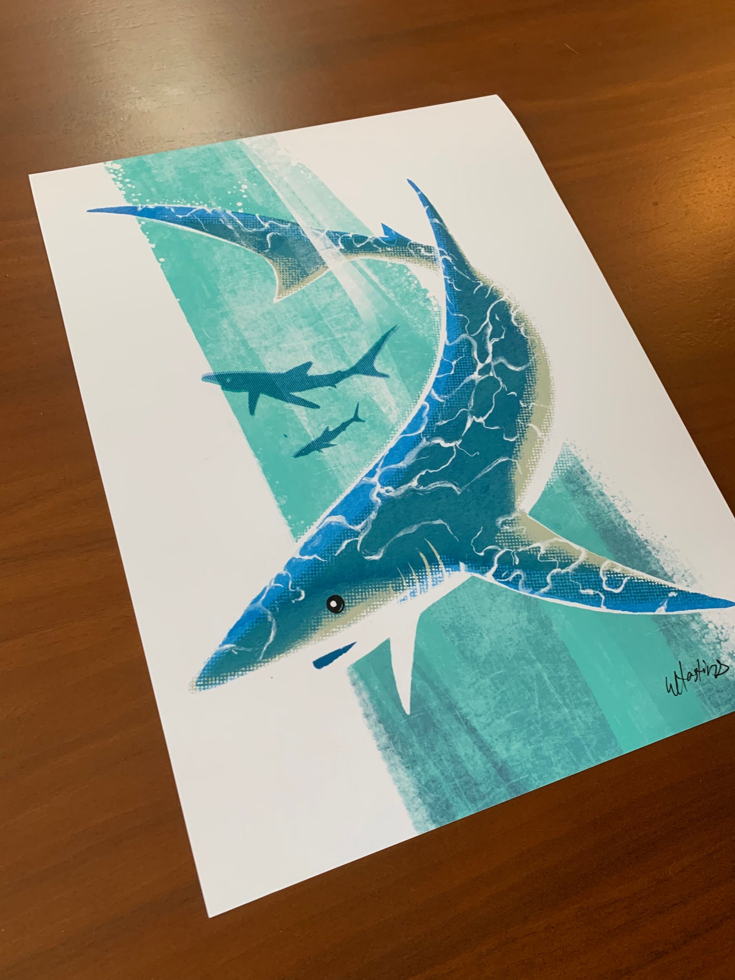Blue Shark-Fine Art Print