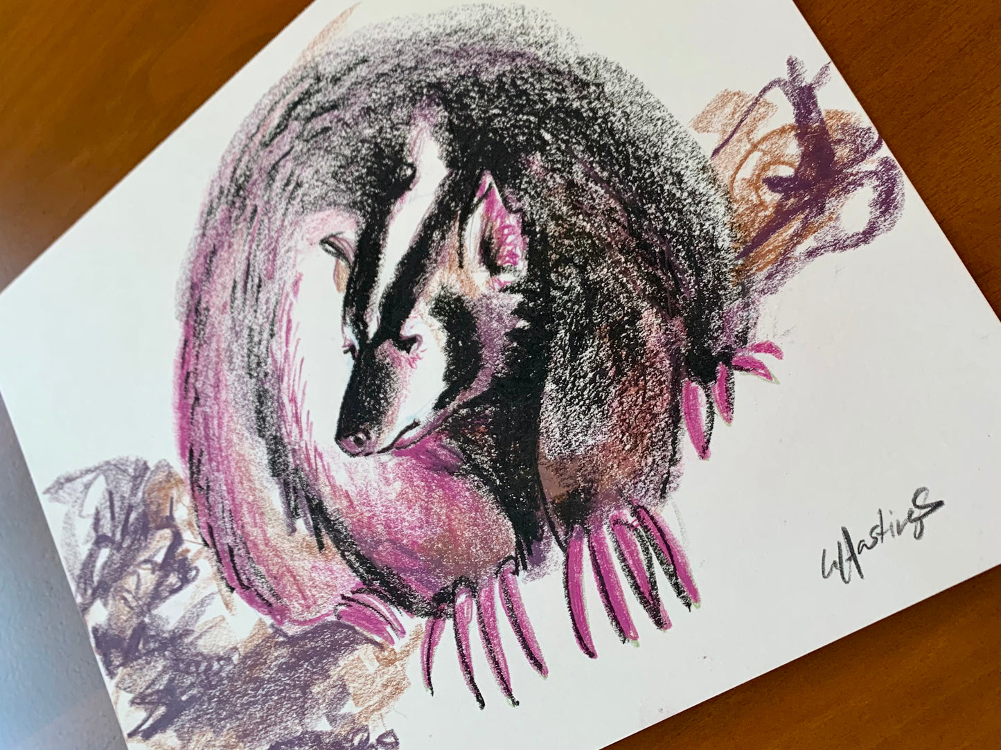 Grumpy Badger - Original Drawing