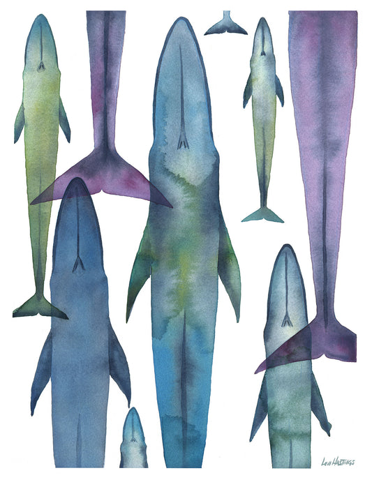 Whale Armada - Print